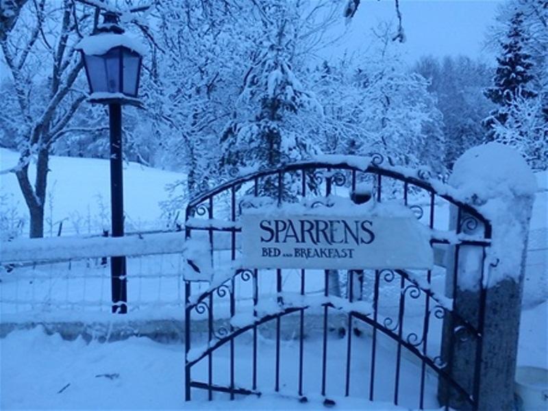 Sparrens Bed And Breakfast Fiskesa Exterior photo